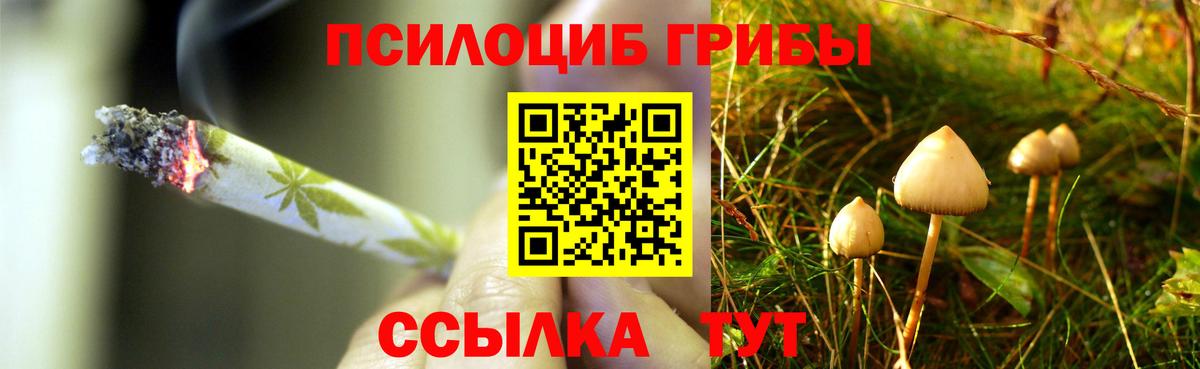 Галлюциногенные грибы мухоморы  что такое   Сызрань  Вход с VPN 